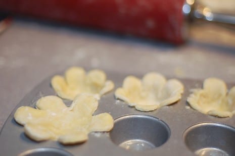 mini-lemon-tartlets-recipe