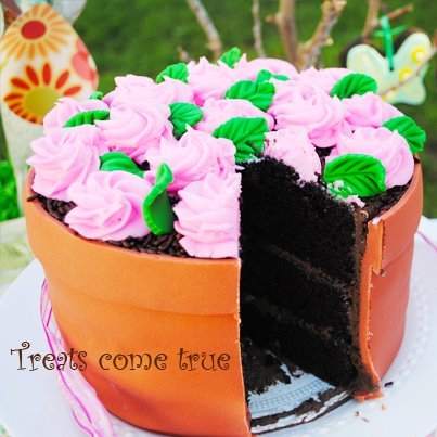 Flower Birthday Cake on Diy  How To Make A Flower Pot Cake   Catch My Party