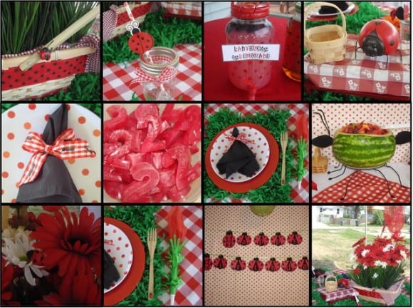 ladybug-picnic-birthday-party