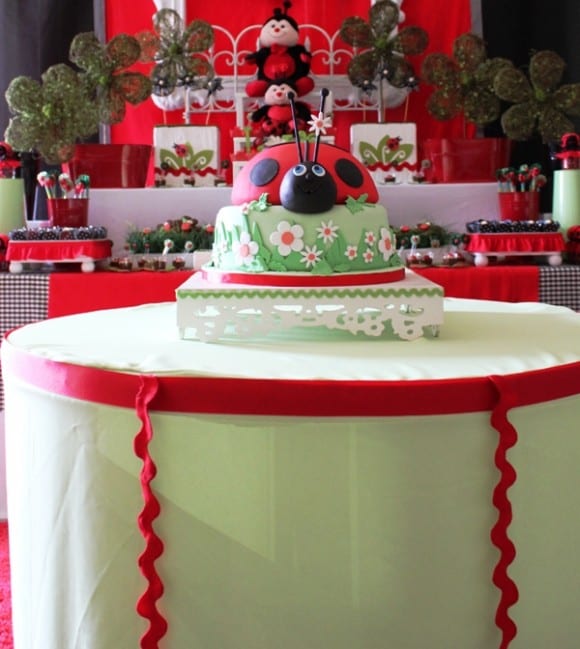 ladybug-birthday-party-1