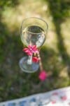 wineglass stakes (10 of 10)