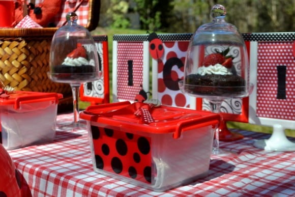 ladybug-party-ideas