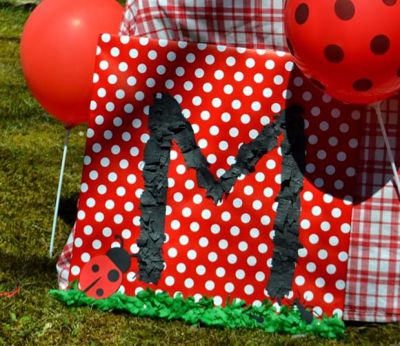 ladybug-party-ideas