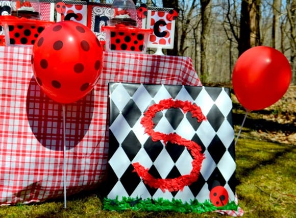 ladybug-party-ideas