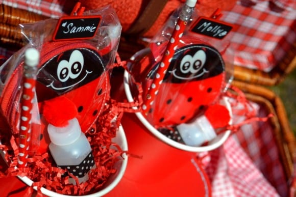 ladybug-party-ideas