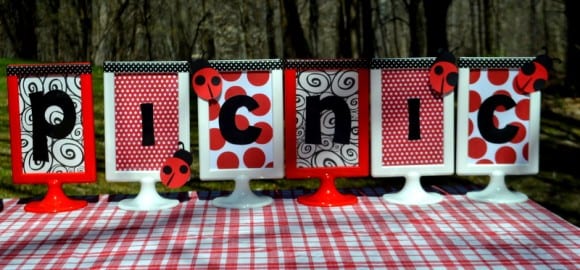 ladybug-party-ideas