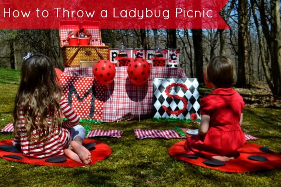 ladybug-picnic-party