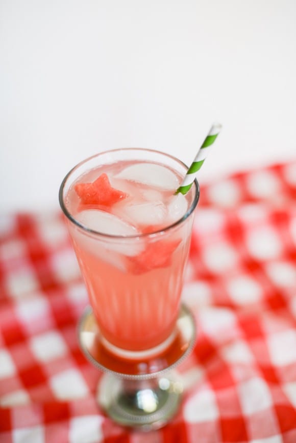 watermelon ice cubes (10 of 11)