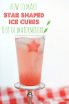 watermelon ice cubes (11 of 11)