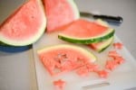 watermelon ice cubes (2 of 4)