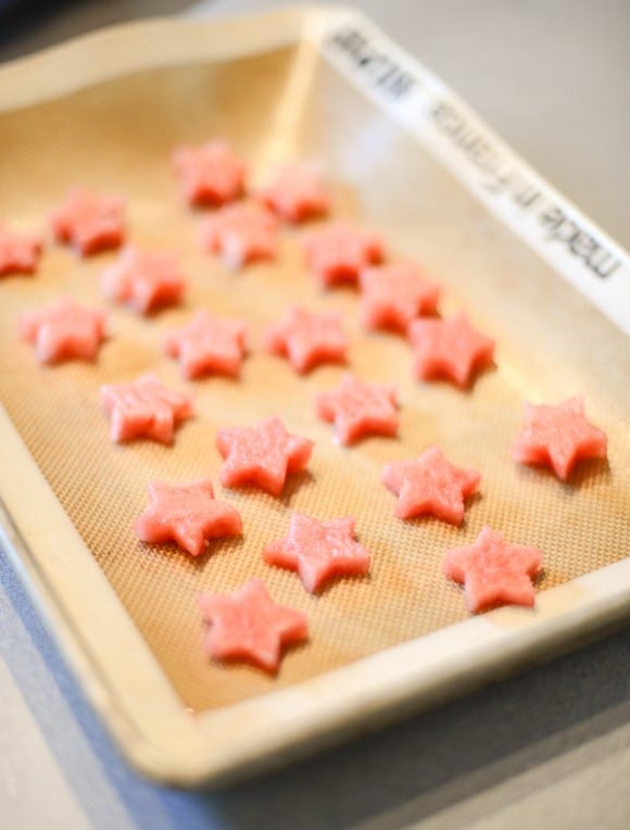 watermelon ice cubes (4 of 4)