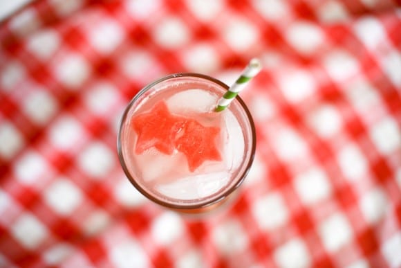 watermelon ice cubes (7 of 11)
