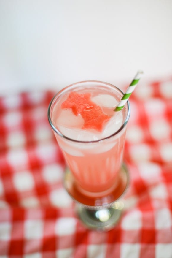 watermelon ice cubes (8 of 11)