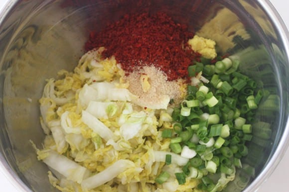 kimchi-relish-recipe-18A