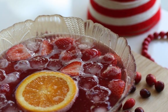 sparkling-lemonade-cranberry-punch-recipe-12