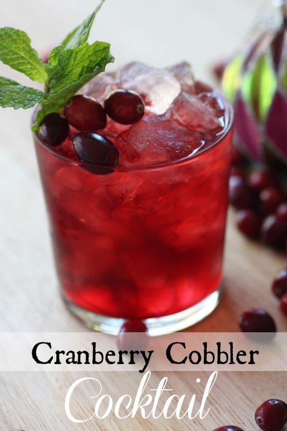 Cranberry Cobbler Cocktail Recipe | CatchMyParty.com