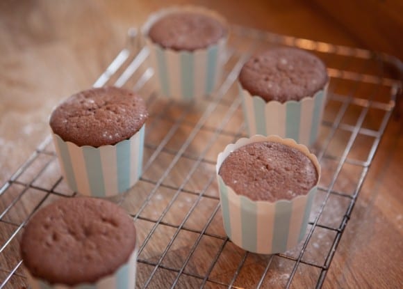 Chocolate gingerbread cupcake recipe