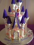 Sofia the First party