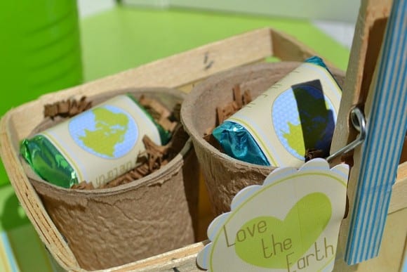 Earth Day Party | CatchMyParty.com