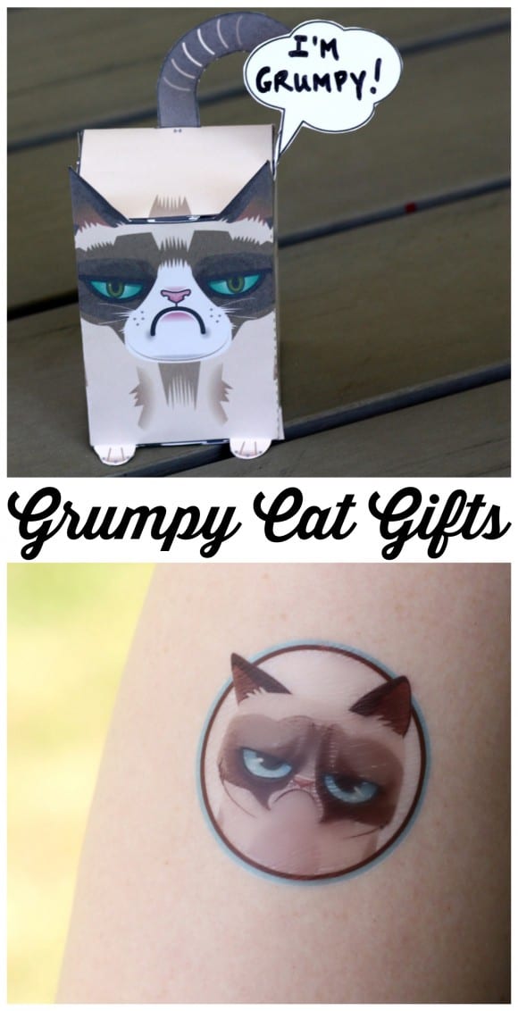 Grumpy Cat Gift Ideas | CatchMyParty.com