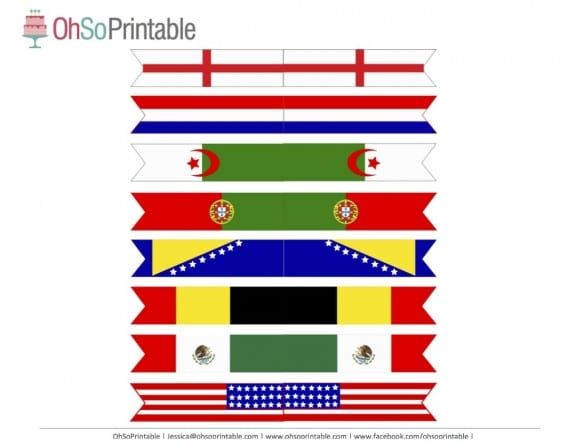FIFA World Cup Soccer 2014 Free Party Printable Flags | Catch My Party.com