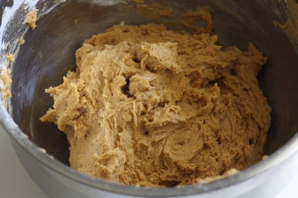 Image of cinnamon pumpkin spice muffin dough.