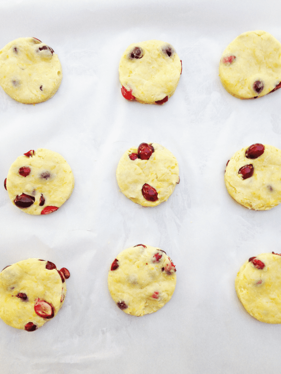 Cranberry Orange Scone Dough | CatchMyParty.com