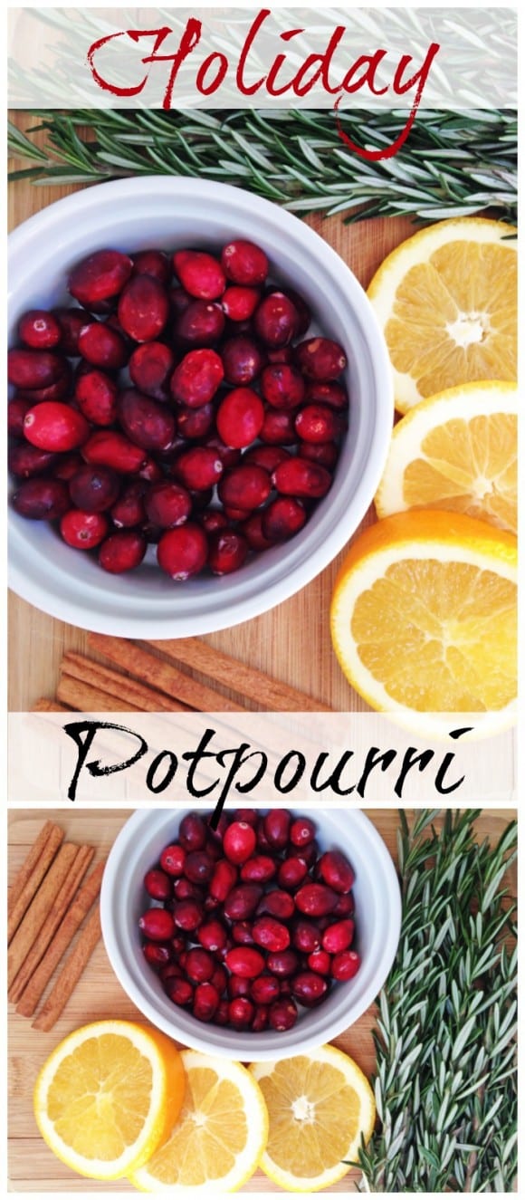 Cranberry Orange Spice Stove Top Potpourri DIY | CatchMyParty.com