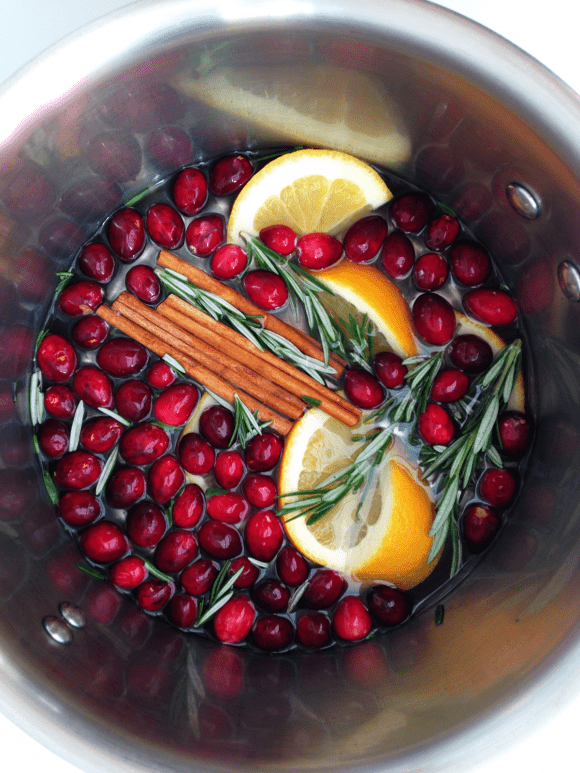 Cranberry Orange Spice Stove Top Potpourri | CatchMyParty.com