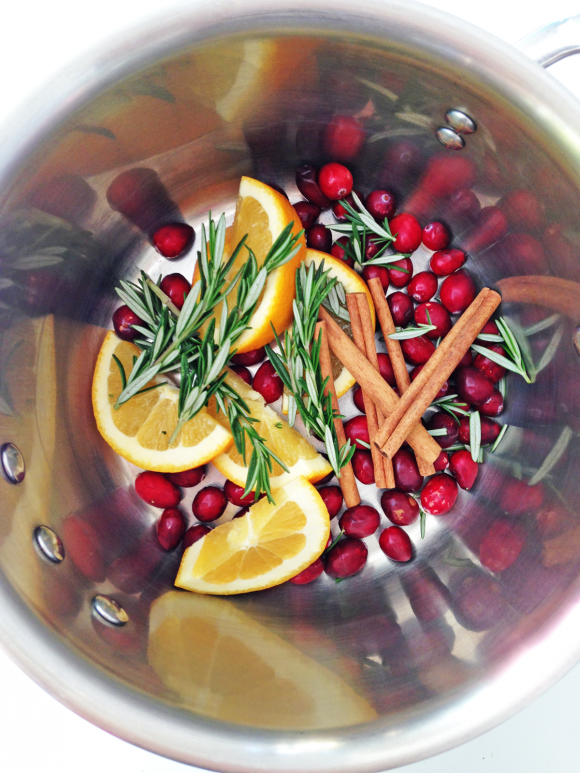 Cranberry Orange Spice Stove Top Potpourri | CatchMyParty.com