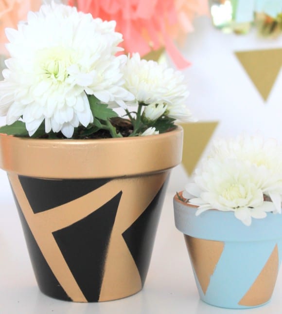 Painted Planters | CatchMyParty.com
