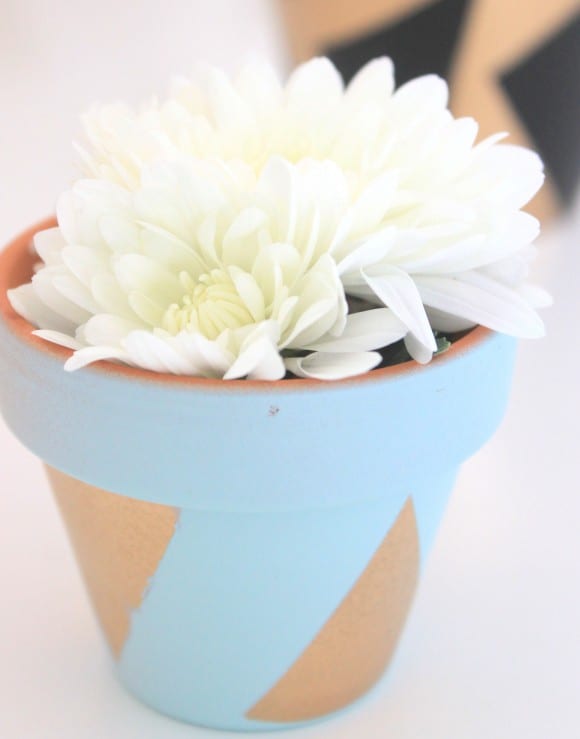 Painted Planters | CatchMyParty.com