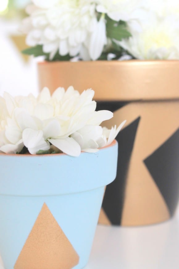 Painted Planters | CatchMyParty.com