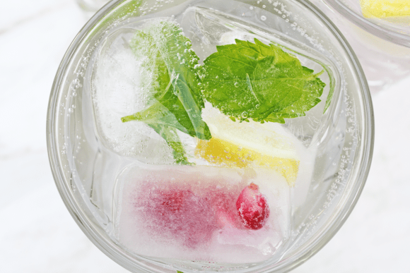 Fruit Ice Cubes Recipe | CatchMyParty.com