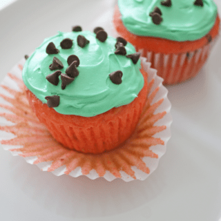 Final Baking Watermelon Cupcake Recipe | CatchMyParty.com