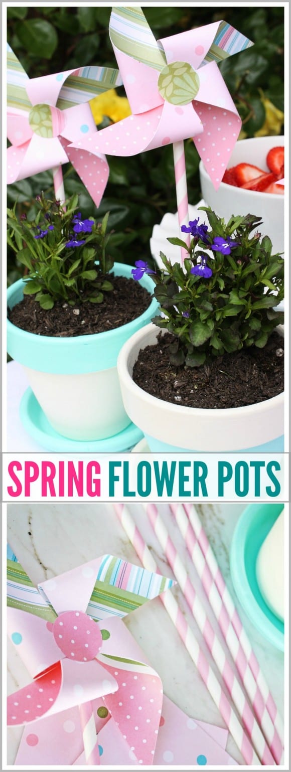 spring-flower-pots-hero