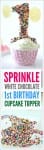 sprinkle-cupcake-topper 3
