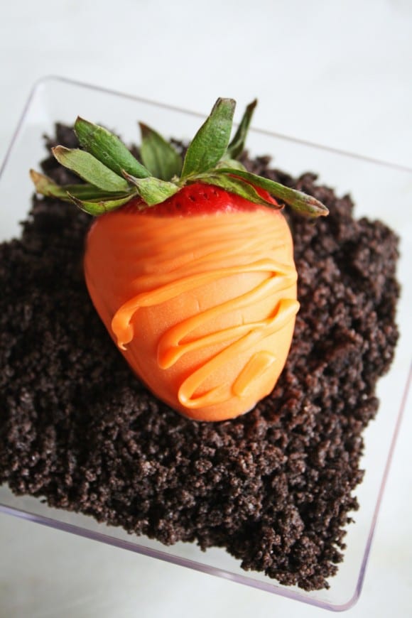 Carrot Patch Desserts | CatchMyParty.com