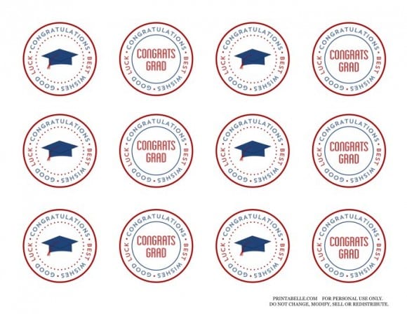 Free Red & Blue Preppy Graduation Party Printable Circles | CatchMyParty.com