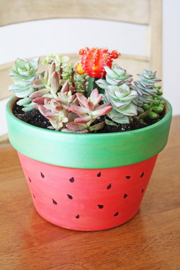 Succulent Garden Painted Pot DIY | CatchMyParty.com