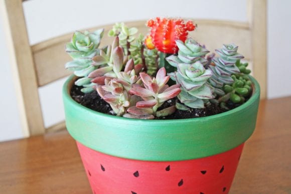 Succulent Garden Painted Pot DIY | CatchMyParty.com