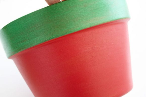 Watermelon pot | Catchmyparty.com