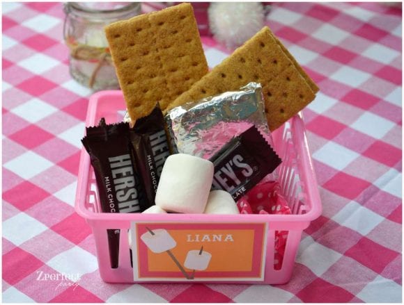 S'mores birthday party | Catch My Party.com