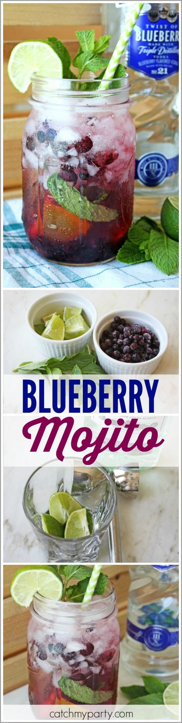 Blueberry Mojito Recipe | CatchMyParty.com