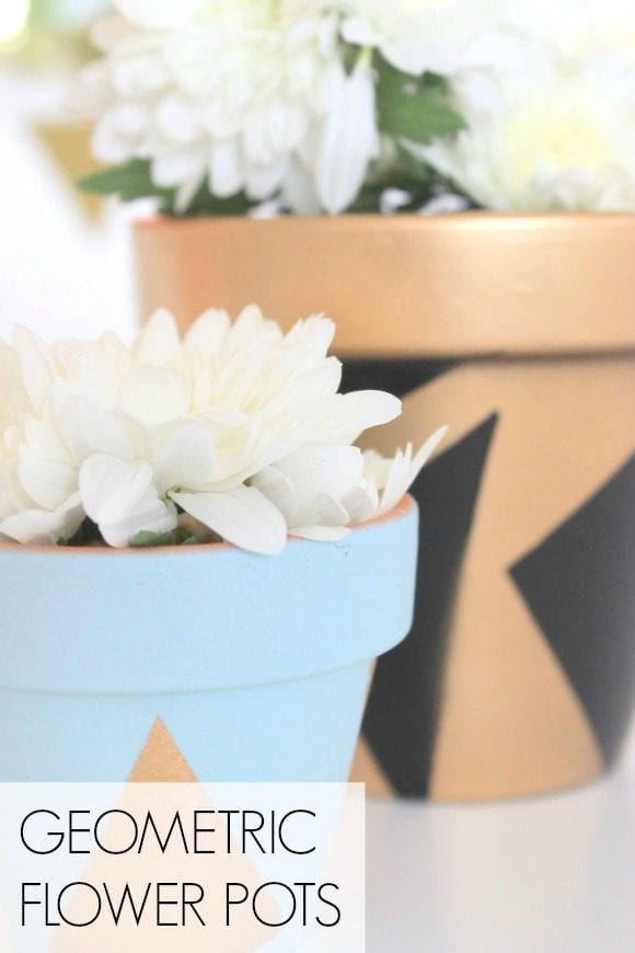 Geometric Flower Pots | CatchMyParty.com