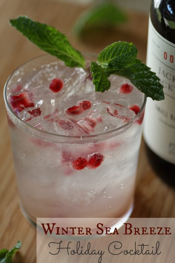 Winter Sea Breeze Cocktail | CatchMyParty.com