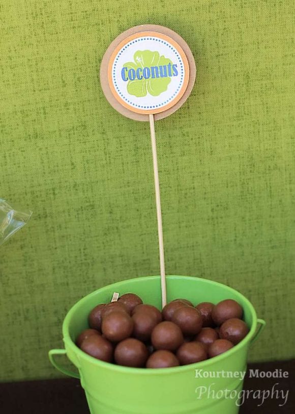 Chocolate Coconuts for a Moana party | CatchMyParty.com