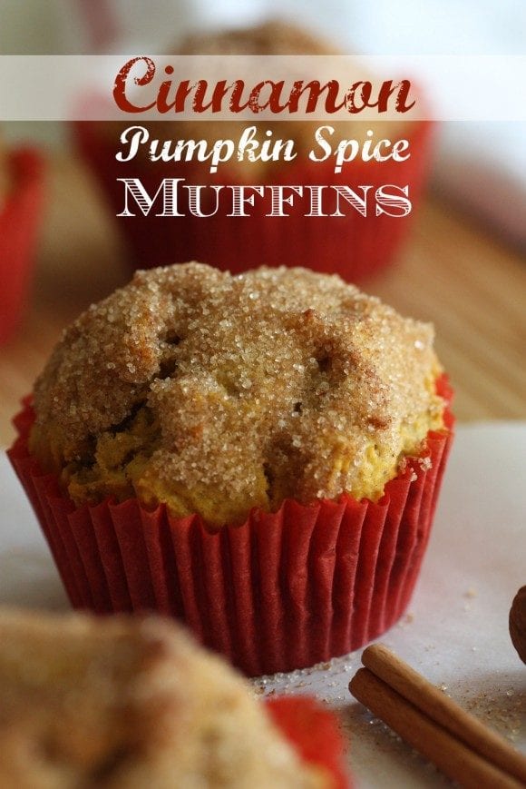 Cinnamon Pumpkin Spice Muffins I CatchMyParty.com