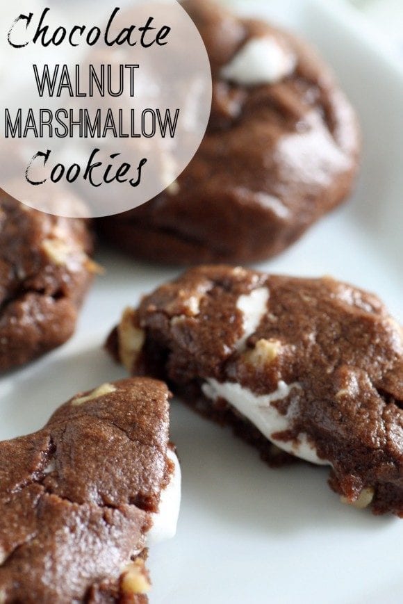 Chocolate Walnut Marshmallow Cookie Recipe | CatchMyParty.com