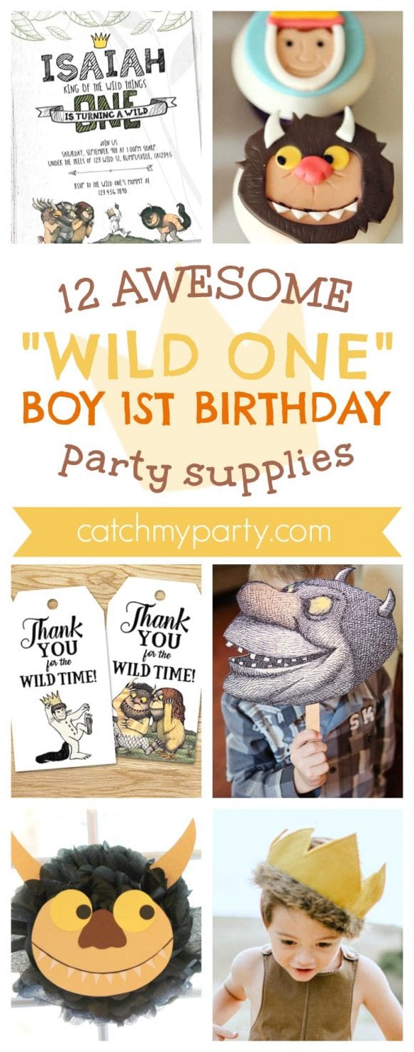 12 Awesome "Wild One" Boy 1st Birthday Party Supplies | CatchMyParty.com